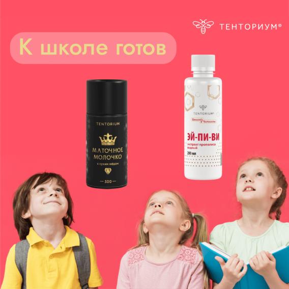 Набор "К школе готов""