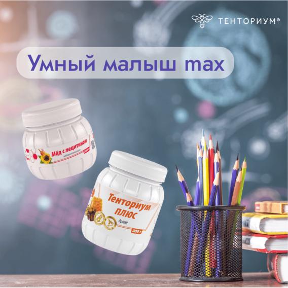 Набор "Умный малыш MAX"