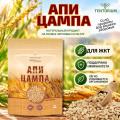 Апицампа ячменная