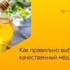 Настоящий мёд на Медовый Спас - как не ошибиться с выбором качественного мёда!